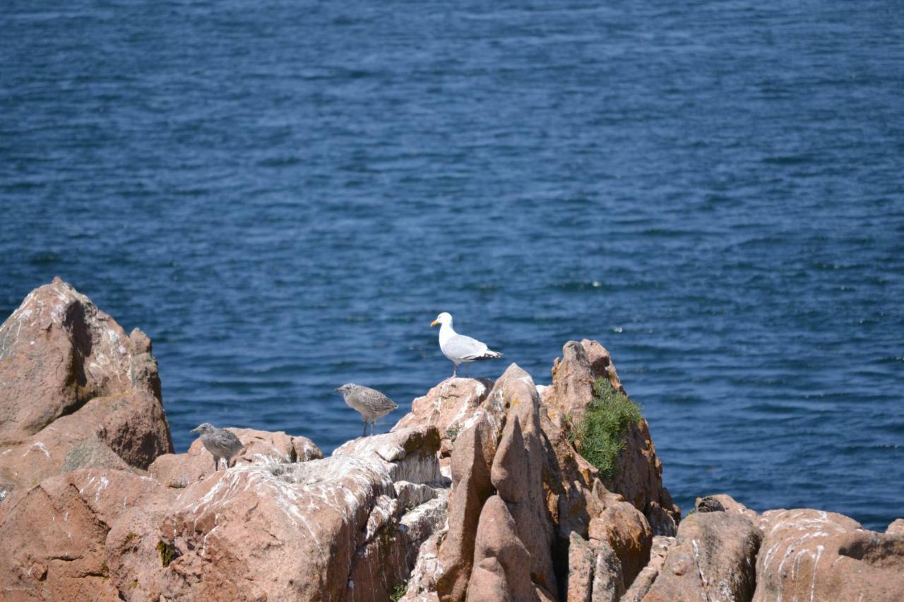 Gite De La Marina Dans La Presqu'Ile De Lézardrieux Exteriér fotografie